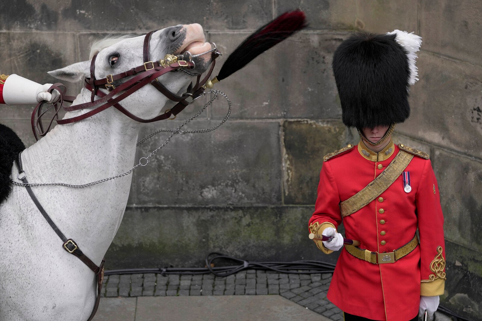 Horse that bolted in London returns to service