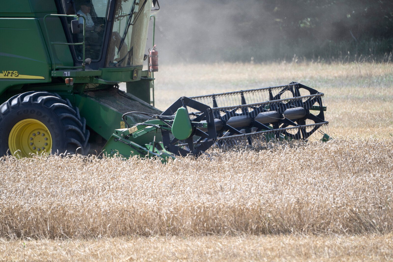 Drought struck this year's harvest