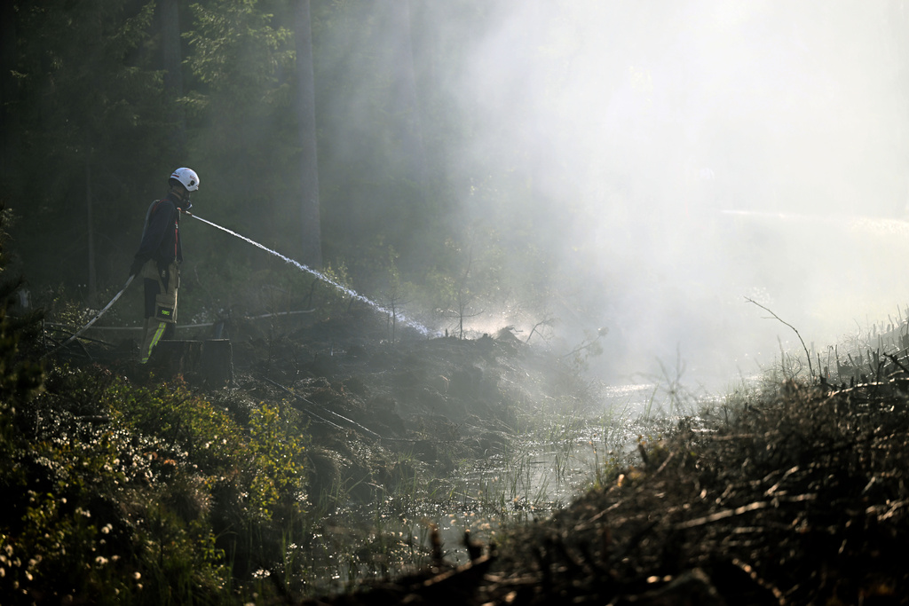 High risk of forest fires in the north and south