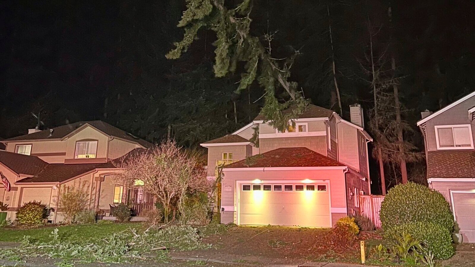 Bomb Cyclone in the USA: "Trees are falling all over the city"