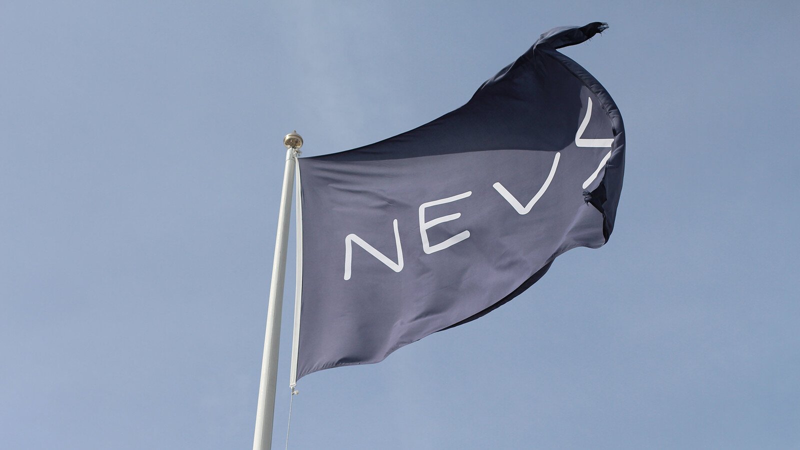 Nevs is laying off all employees