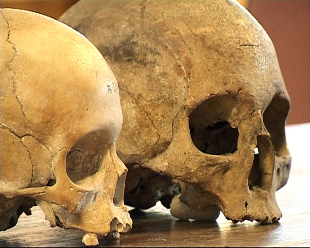 Researchers shed new light on stolen skulls