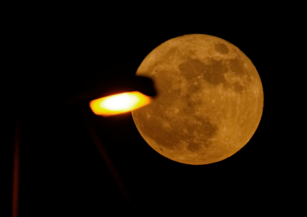 Streetlights Make Insects Go on a Hunger Strike