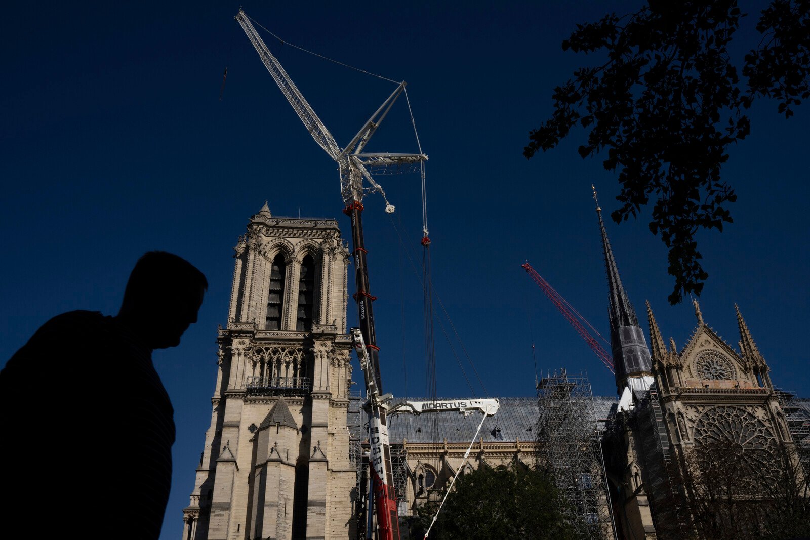 Five years after the fire: Notre Dame's bells ring