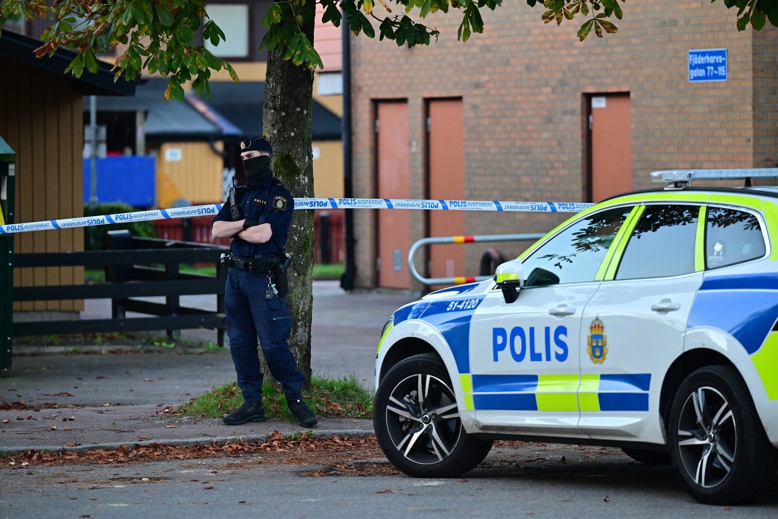 Hand Grenade Explosion at House