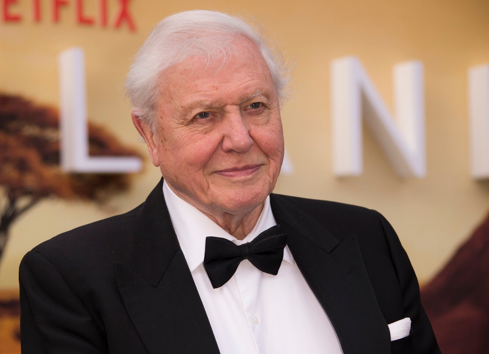 Attenborough "Extremely Disturbed" over AI Clone