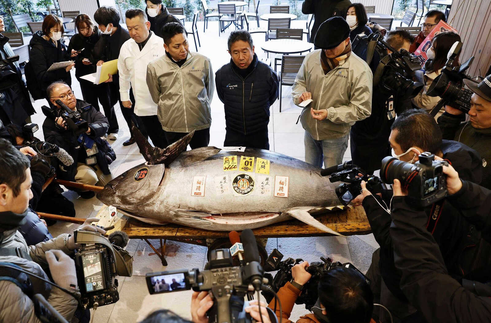 Bluefin Tuna for 14 Million Kronor Under the Hammer