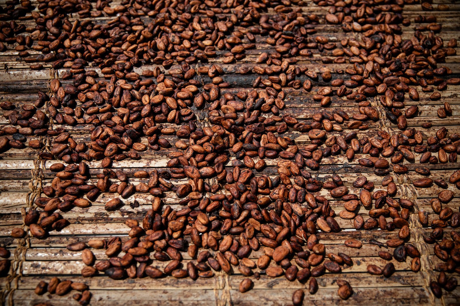 The price of cocoa continues to surge upwards