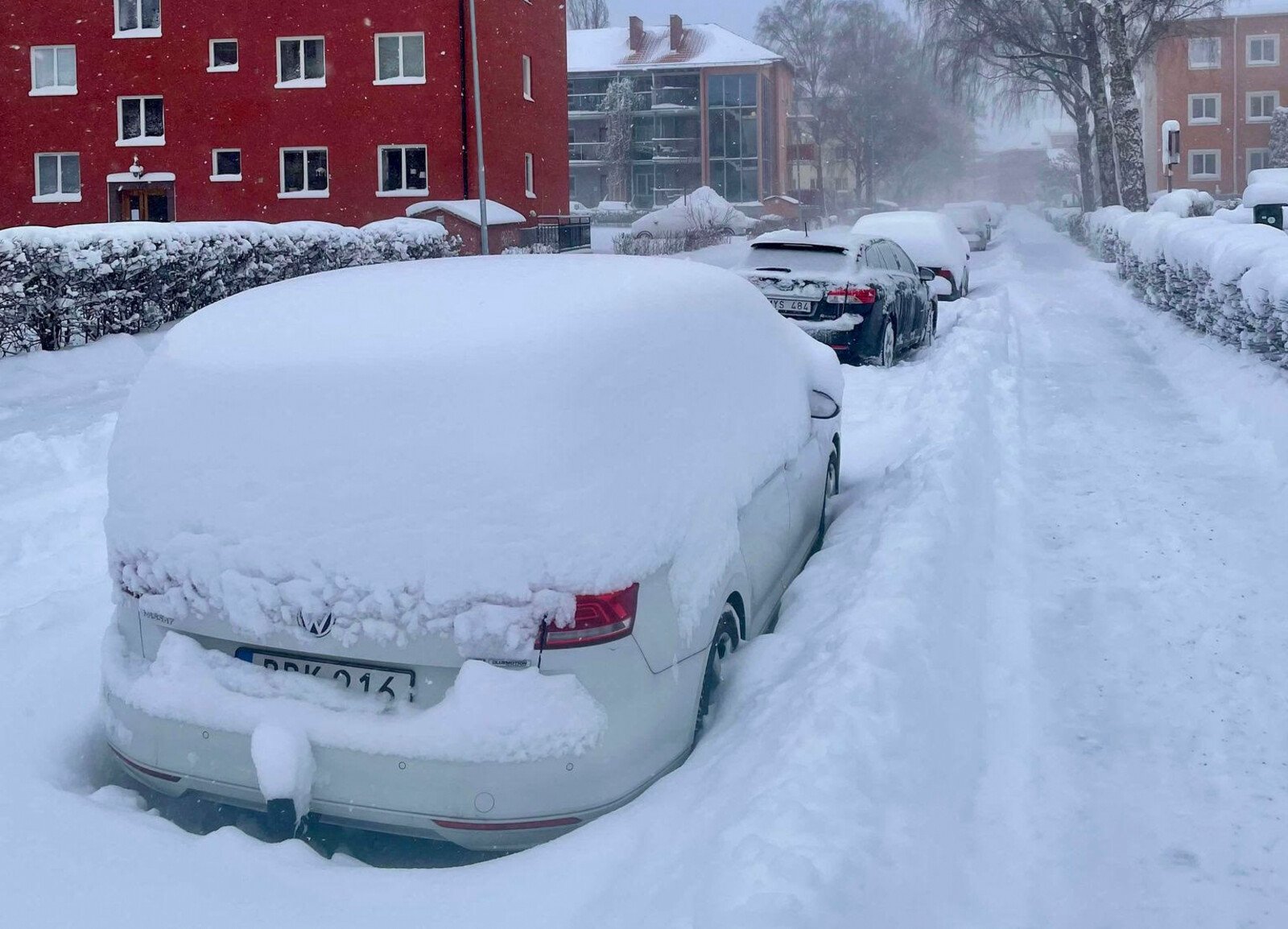 Snow and Wind Cause Problems: "Really Chaotic"