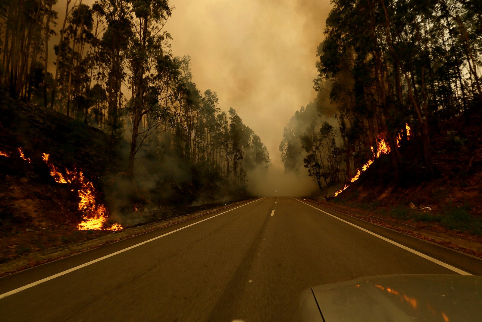 Inferno in Portugal: Firefighters Trapped