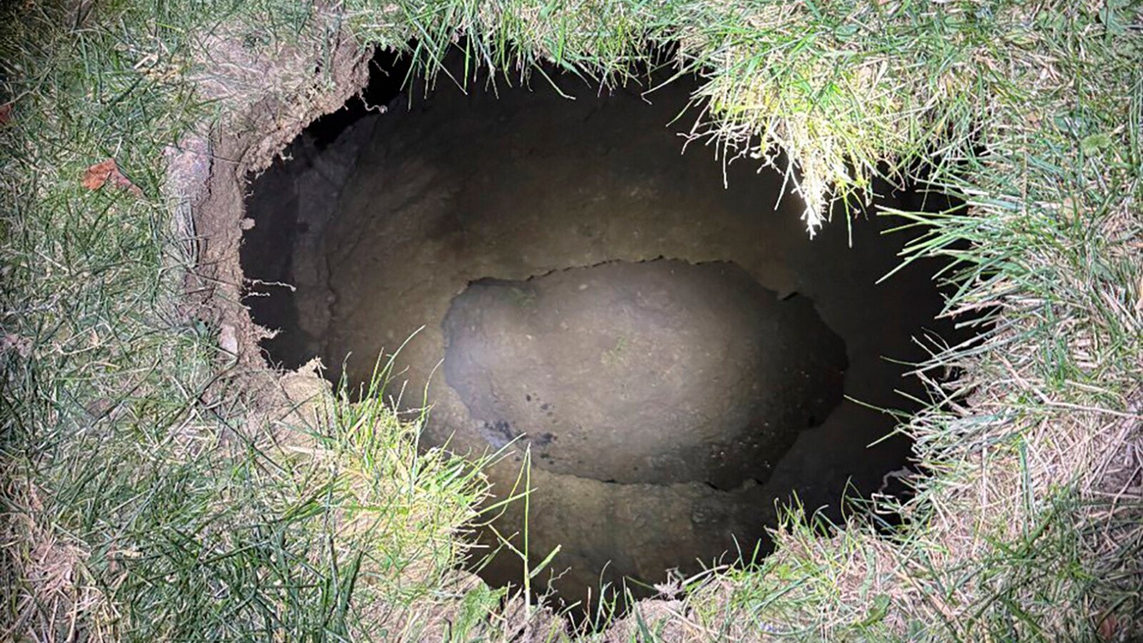 Searching for cat – may have fallen into sinkhole