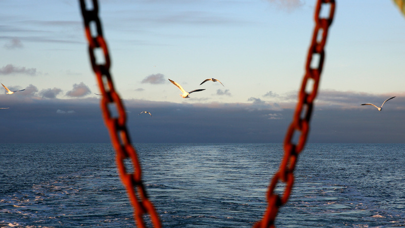 80 migrants rescued in the English Channel