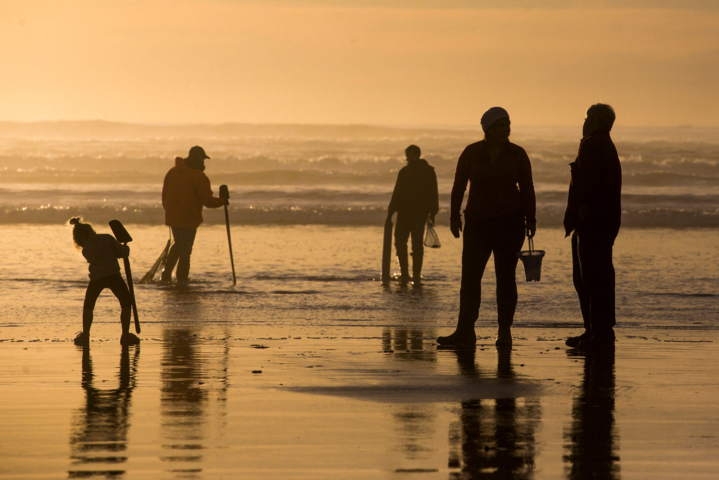 Serious shellfish poisoning – coast closed