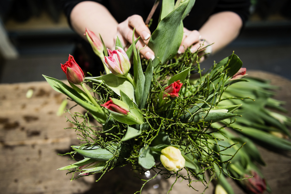 The Harvest Was Washed Away – Fewer Tulips Next Year