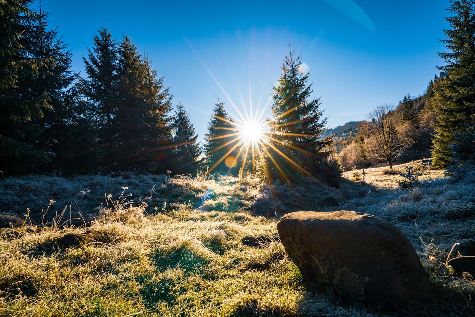 Why Swedes Are So Stressed About The Sun 