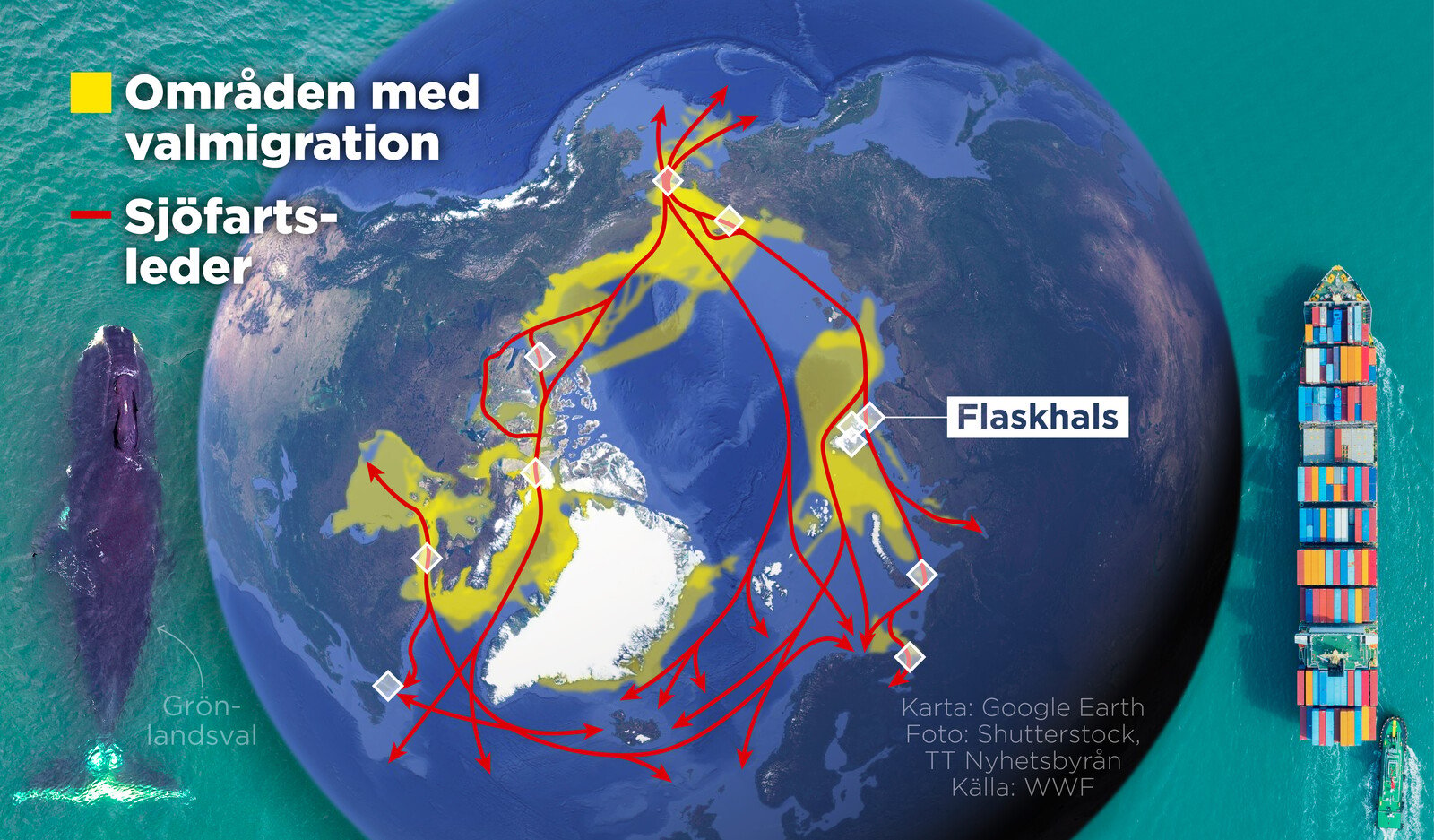 Loud Threats to Whales in the Arctic