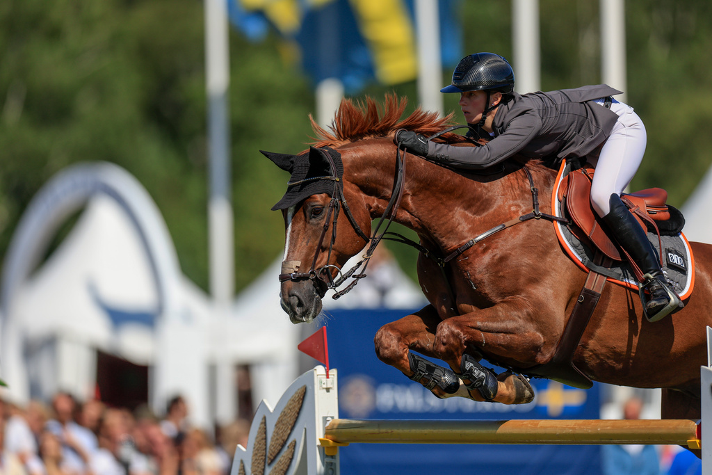 German victory in the Grand Prix jumping at Falsterbo