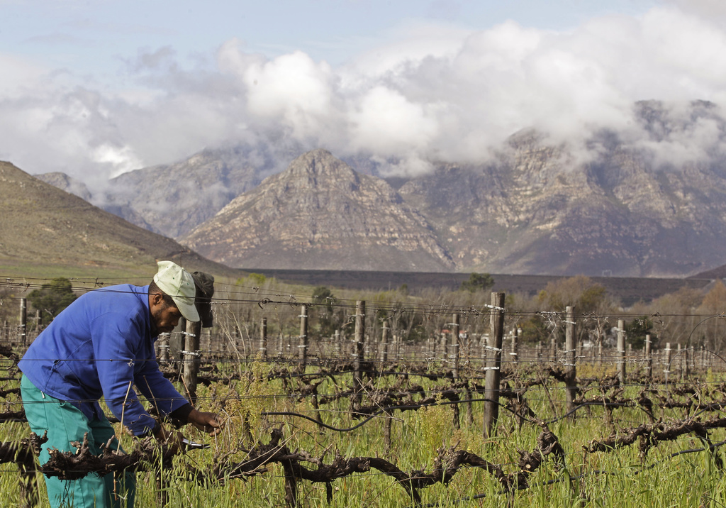 Heat and starvation wages behind wines sold in Sweden