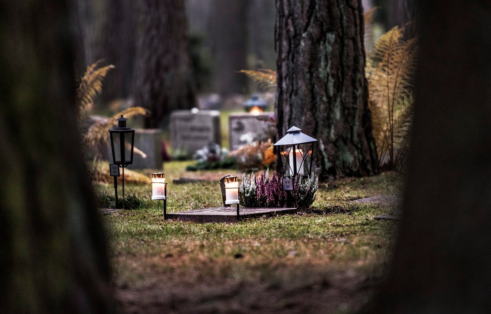 Unknown Skeleton at School Laid to Rest