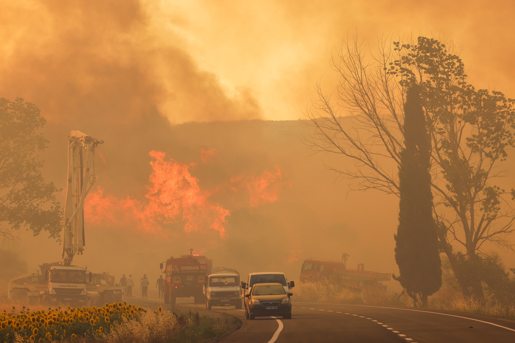 Heatwave in Europe: Wildfires and Power Cuts